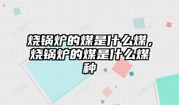 燒鍋爐的煤是什么煤，燒鍋爐的煤是什么煤種