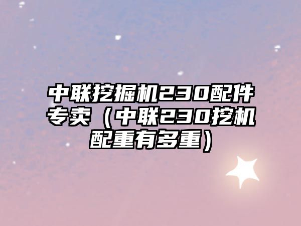 中聯(lián)挖掘機(jī)230配件專(zhuān)賣(mài)（中聯(lián)230挖機(jī)配重有多重）