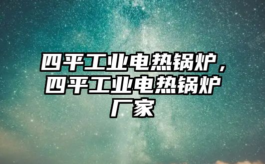 四平工業(yè)電熱鍋爐，四平工業(yè)電熱鍋爐廠家