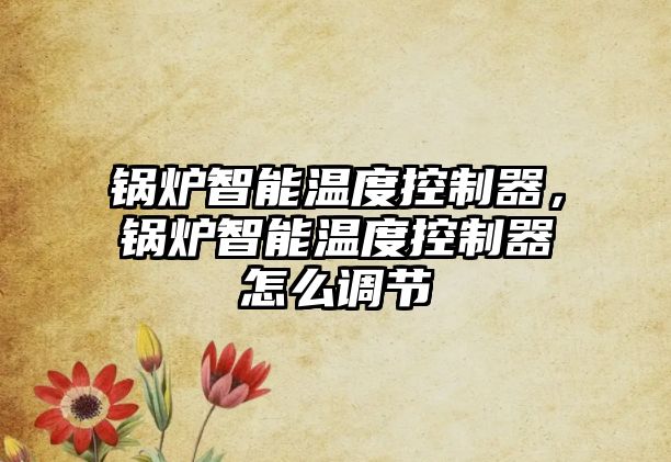 鍋爐智能溫度控制器，鍋爐智能溫度控制器怎么調節(jié)