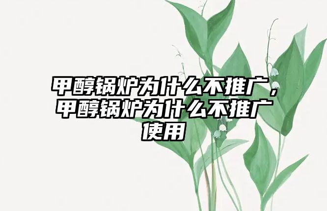 甲醇鍋爐為什么不推廣，甲醇鍋爐為什么不推廣使用