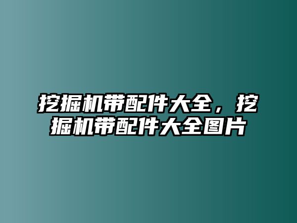 挖掘機帶配件大全，挖掘機帶配件大全圖片