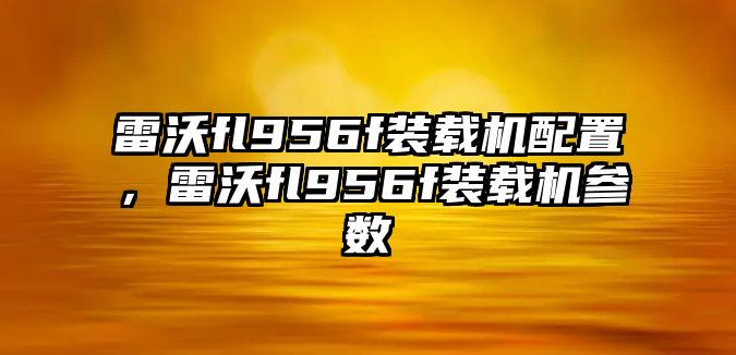 雷沃fl956f裝載機配置，雷沃fl956f裝載機參數(shù)