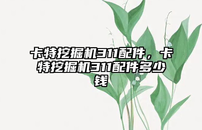 卡特挖掘機311配件，卡特挖掘機311配件多少錢