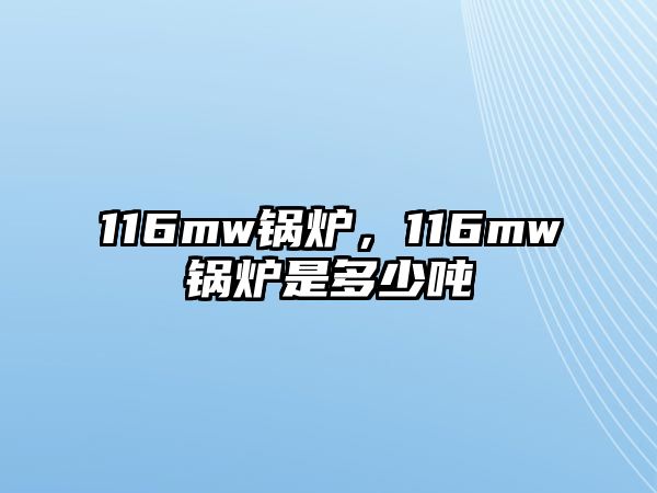 116mw鍋爐，116mw鍋爐是多少噸