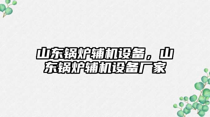 山東鍋爐輔機設備，山東鍋爐輔機設備廠家