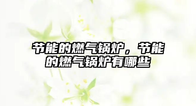 節(jié)能的燃?xì)忮仩t，節(jié)能的燃?xì)忮仩t有哪些