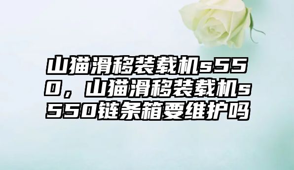 山貓滑移裝載機(jī)s550，山貓滑移裝載機(jī)s550鏈條箱要維護(hù)嗎