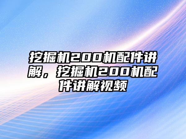 挖掘機200機配件講解，挖掘機200機配件講解視頻