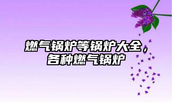 燃?xì)忮仩t等鍋爐大全，各種燃?xì)忮仩t