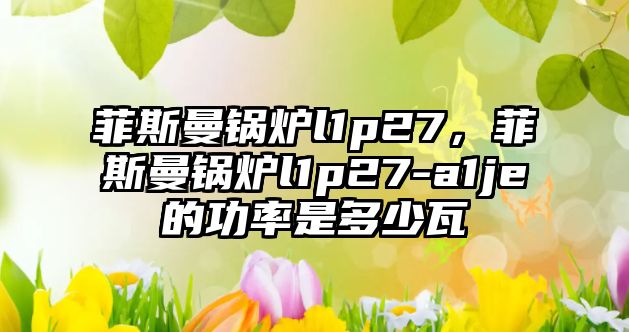 菲斯曼鍋爐l1p27，菲斯曼鍋爐l1p27-a1je的功率是多少瓦