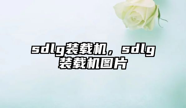 sdlg裝載機(jī)，sdlg裝載機(jī)圖片