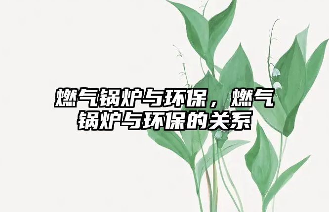 燃氣鍋爐與環(huán)保，燃氣鍋爐與環(huán)保的關系