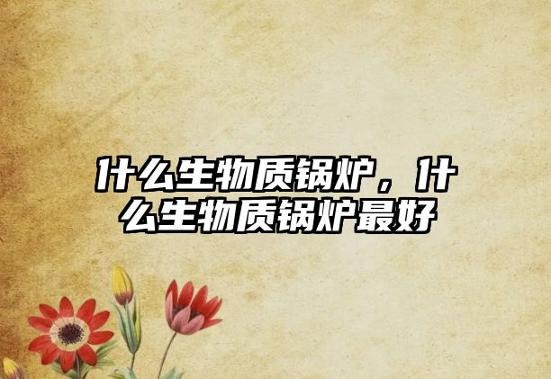 什么生物質(zhì)鍋爐，什么生物質(zhì)鍋爐最好