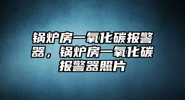 鍋爐房一氧化碳報警器，鍋爐房一氧化碳報警器照片