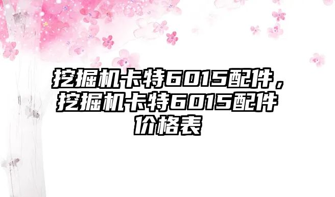 挖掘機(jī)卡特6015配件，挖掘機(jī)卡特6015配件價(jià)格表