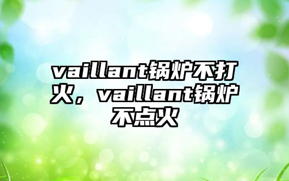 vaillant鍋爐不打火，vaillant鍋爐不點(diǎn)火