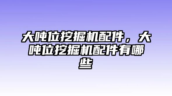 大噸位挖掘機(jī)配件，大噸位挖掘機(jī)配件有哪些