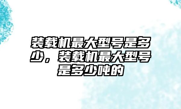 裝載機(jī)最大型號(hào)是多少，裝載機(jī)最大型號(hào)是多少噸的