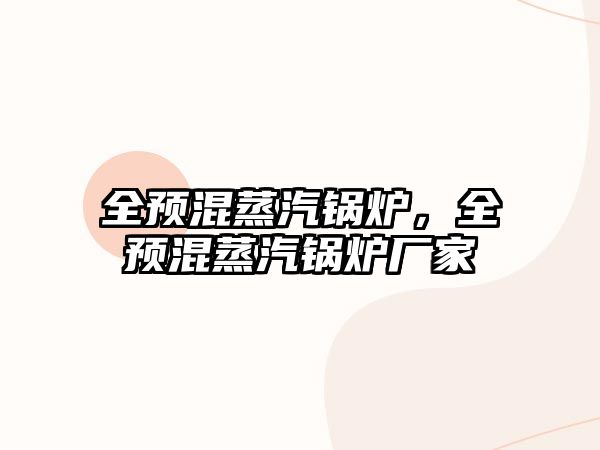 全預(yù)混蒸汽鍋爐，全預(yù)混蒸汽鍋爐廠家