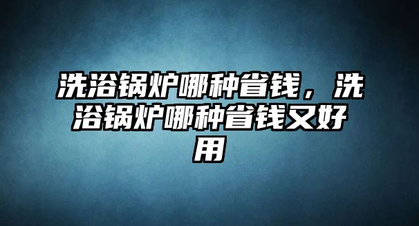 洗浴鍋爐哪種省錢，洗浴鍋爐哪種省錢又好用