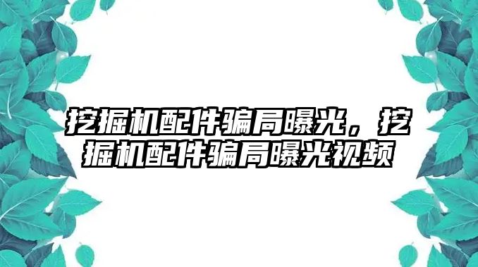 挖掘機配件騙局曝光，挖掘機配件騙局曝光視頻