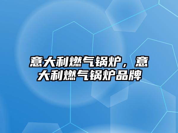 意大利燃氣鍋爐，意大利燃氣鍋爐品牌