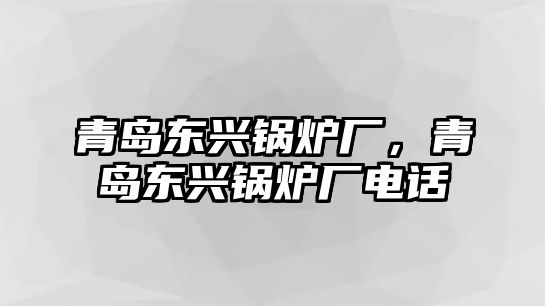 青島東興鍋爐廠，青島東興鍋爐廠電話