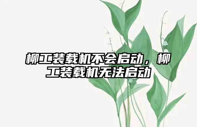 柳工裝載機不會啟動，柳工裝載機無法啟動