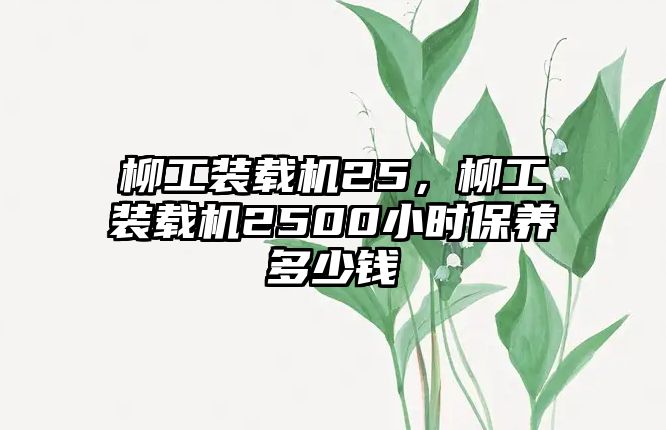 柳工裝載機(jī)25，柳工裝載機(jī)2500小時(shí)保養(yǎng)多少錢