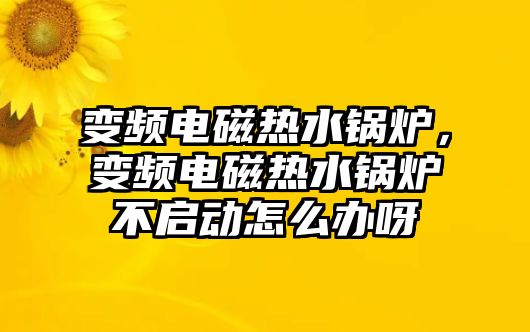 變頻電磁熱水鍋爐，變頻電磁熱水鍋爐不啟動怎么辦呀