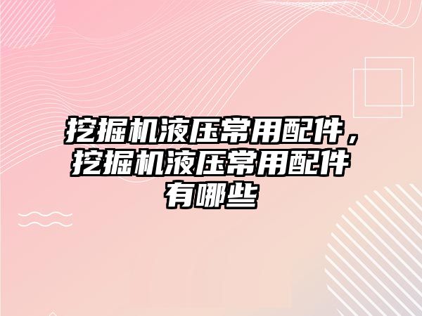 挖掘機液壓常用配件，挖掘機液壓常用配件有哪些