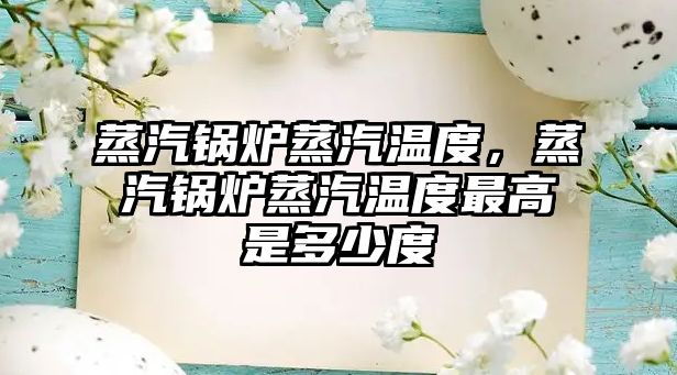 蒸汽鍋爐蒸汽溫度，蒸汽鍋爐蒸汽溫度最高是多少度