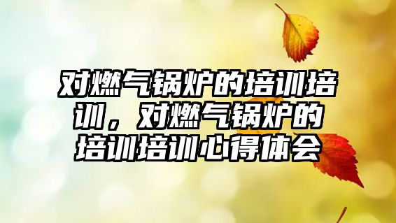 對(duì)燃?xì)忮仩t的培訓(xùn)培訓(xùn)，對(duì)燃?xì)忮仩t的培訓(xùn)培訓(xùn)心得體會(huì)