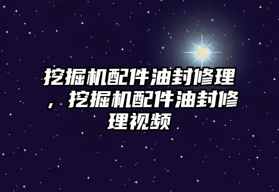 挖掘機配件油封修理，挖掘機配件油封修理視頻