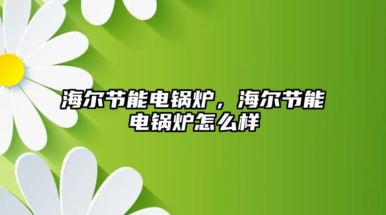 海爾節(jié)能電鍋爐，海爾節(jié)能電鍋爐怎么樣