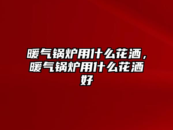 暖氣鍋爐用什么花灑，暖氣鍋爐用什么花灑好