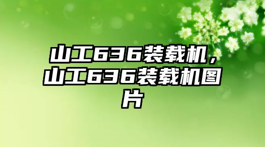 山工636裝載機，山工636裝載機圖片