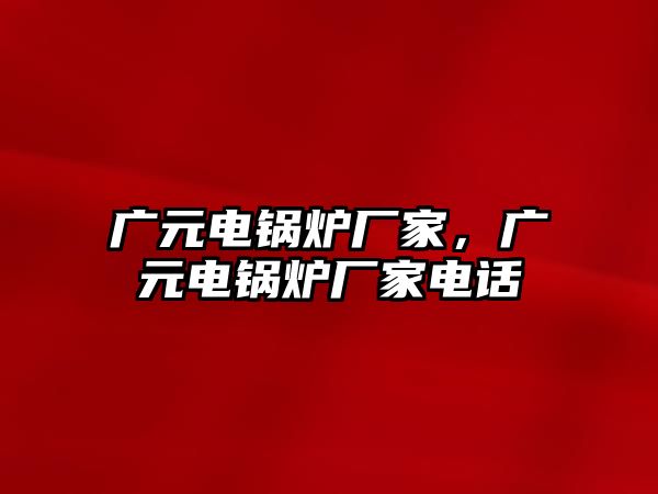 廣元電鍋爐廠家，廣元電鍋爐廠家電話