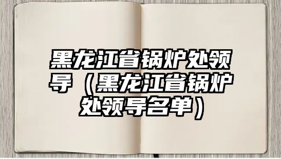 黑龍江省鍋爐處領(lǐng)導（黑龍江省鍋爐處領(lǐng)導名單）