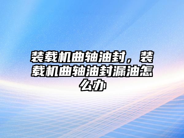 裝載機(jī)曲軸油封，裝載機(jī)曲軸油封漏油怎么辦