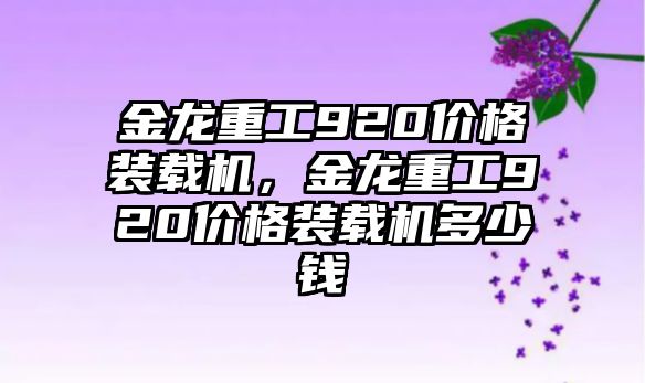 金龍重工920價格裝載機，金龍重工920價格裝載機多少錢