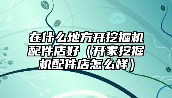 在什么地方開(kāi)挖掘機(jī)配件店好（開(kāi)家挖掘機(jī)配件店怎么樣）