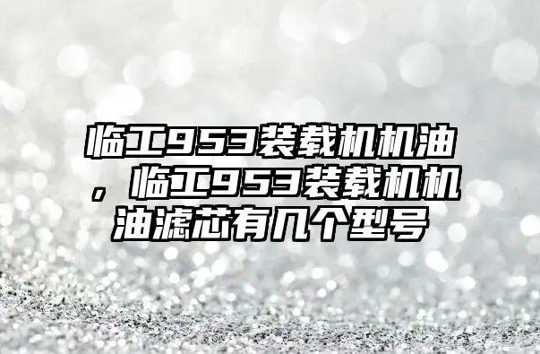 臨工953裝載機(jī)機(jī)油，臨工953裝載機(jī)機(jī)油濾芯有幾個(gè)型號(hào)