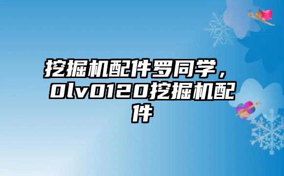 挖掘機配件羅同學(xué)，ⅴ0lv0120挖掘機配件