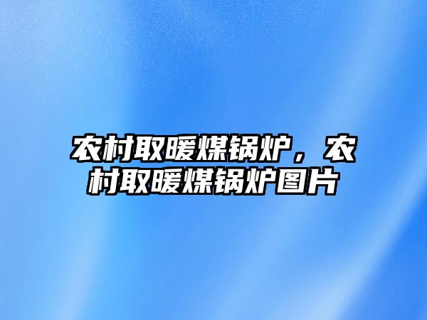 農(nóng)村取暖煤鍋爐，農(nóng)村取暖煤鍋爐圖片