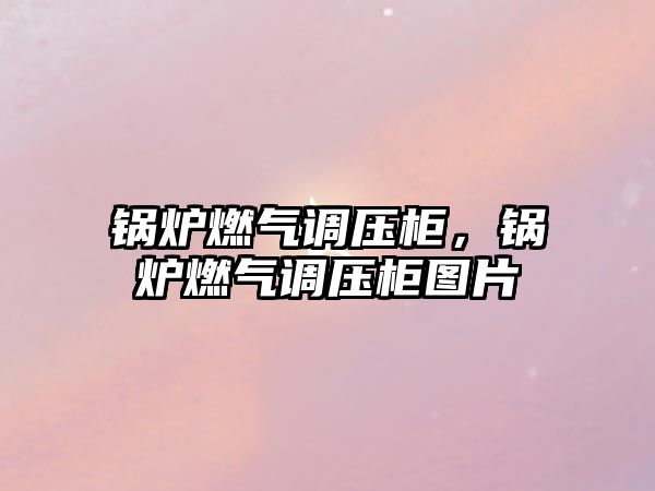 鍋爐燃?xì)庹{(diào)壓柜，鍋爐燃?xì)庹{(diào)壓柜圖片