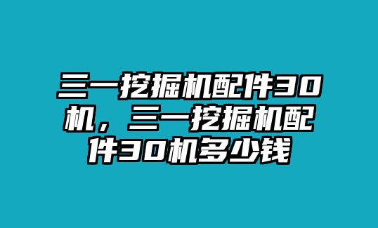 三一挖掘機(jī)配件30機(jī)，三一挖掘機(jī)配件30機(jī)多少錢