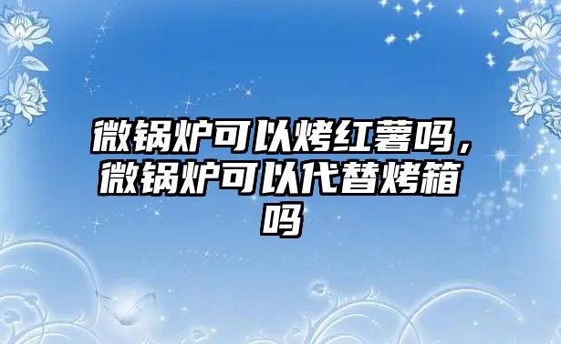 微鍋爐可以烤紅薯嗎，微鍋爐可以代替烤箱嗎