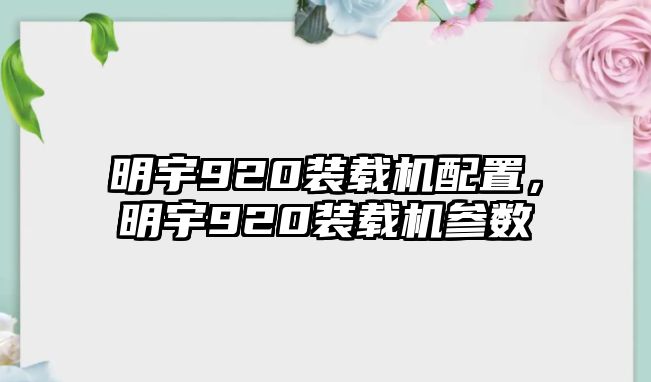 明宇920裝載機(jī)配置，明宇920裝載機(jī)參數(shù)